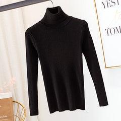 JazzHer Turtleneck sweater