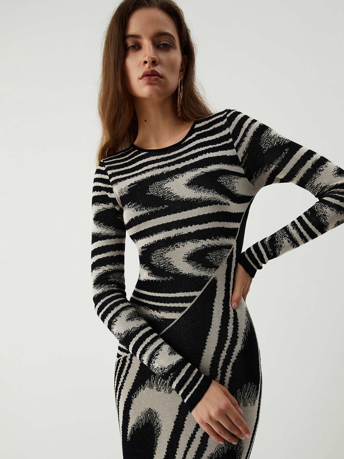 JazzHer 2024 Fall Fashion Zebra Print Long Sleeve Sweater Dress