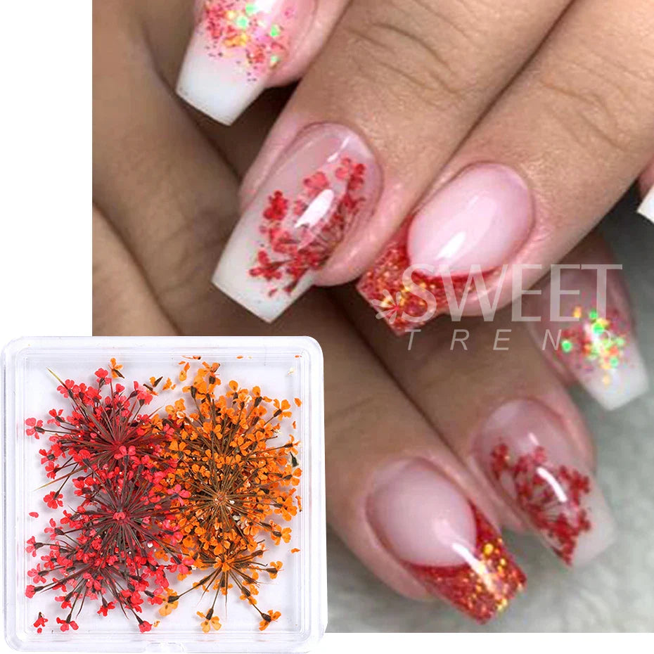 JazzHer 1Box 3D Nail Dried Flower Manicure Nail Art Decorations Natural Dry Flower Nail Art Beauty For Nails Supplies Charms Accessories