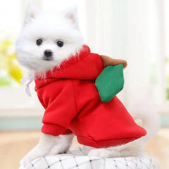 JazzHer Cute Dog Hoodie Pet Fruit Clothes Funny Dog Cat Coats with Hat Halloween Cosplay Costume Dogs Hooded Sweatshirt for Puppies Cat