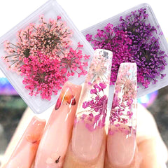 JazzHer 1Box 3D Nail Dried Flower Manicure Nail Art Decorations Natural Dry Flower Nail Art Beauty For Nails Supplies Charms Accessories