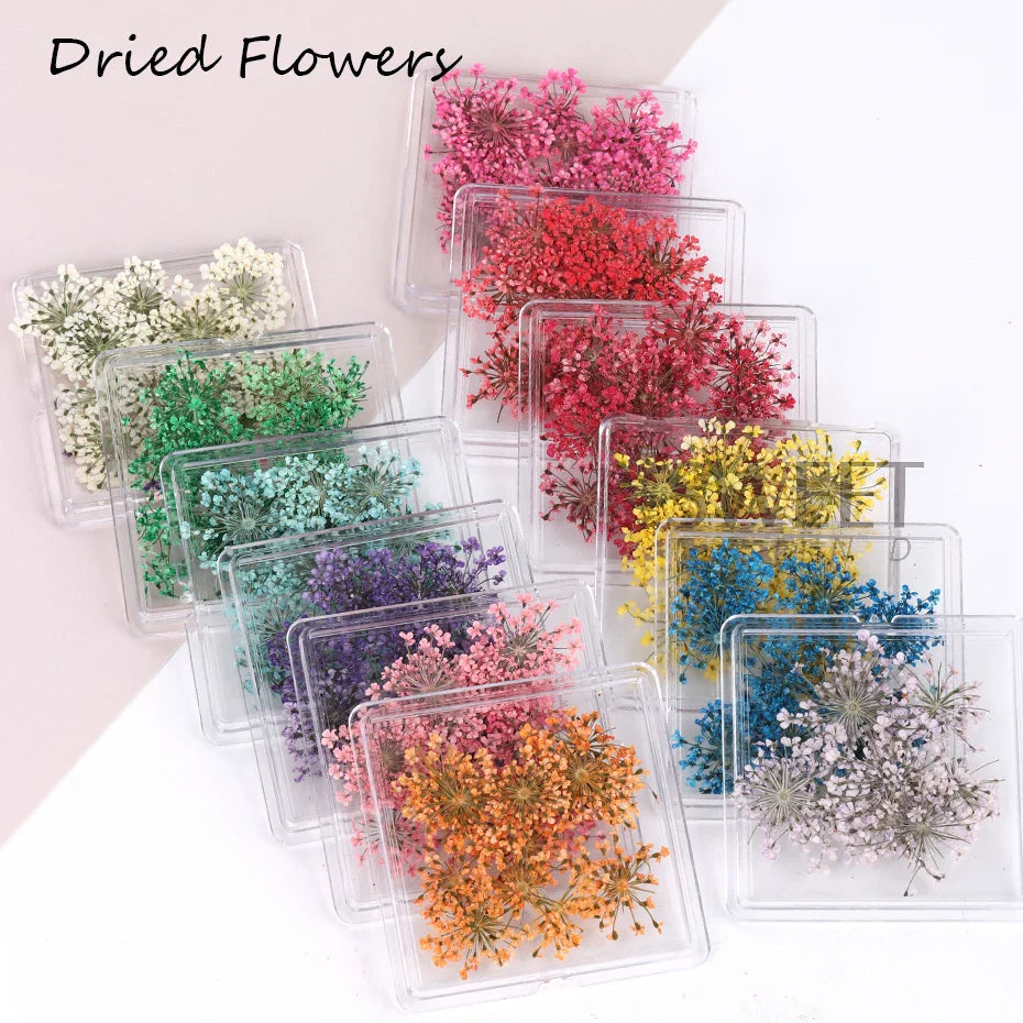 JazzHer 3D Real Dried Flowers Nail Art Decoration Lace Petal Design Natural Pressed Floral Charm Plant Jewelry Nail Accessories Supplies