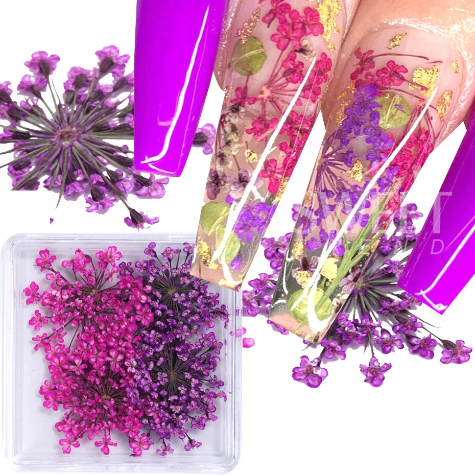 JazzHer 1Box 3D Nail Dried Flower Manicure Nail Art Decorations Natural Dry Flower Nail Art Beauty For Nails Supplies Charms Accessories