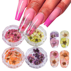 JazzHer 3D Dried Flowers Nail Art Decorations Dead Nature Nail Dry Flowers Manicure Floral Bloom Nail Art Beauty For Charms Accessories