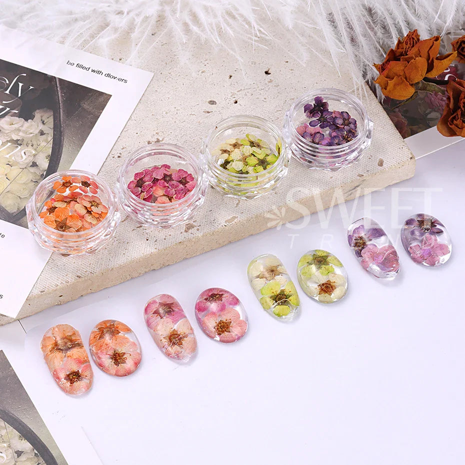 JazzHer 3D Dried Flowers Nail Art Decorations Dead Nature Nail Dry Flowers Manicure Floral Bloom Nail Art Beauty For Charms Accessories