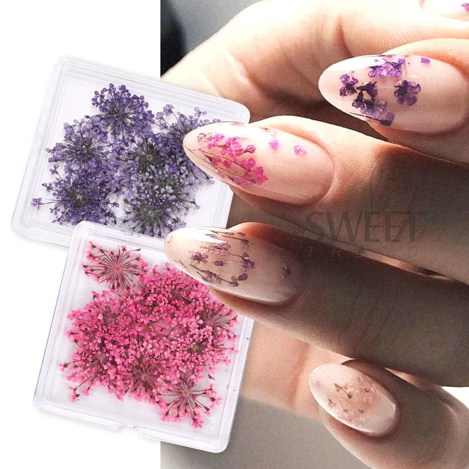 JazzHer 3D Real Dried Flowers Nail Art Decoration Lace Petal Design Natural Pressed Floral Charm Plant Jewelry Nail Accessories Supplies