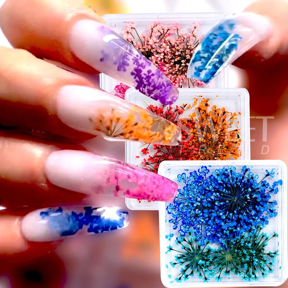 JazzHer 1Box 3D Nail Dried Flower Manicure Nail Art Decorations Natural Dry Flower Nail Art Beauty For Nails Supplies Charms Accessories