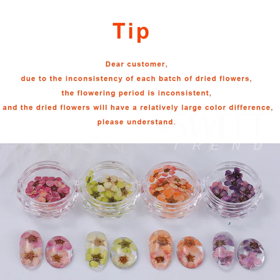 JazzHer 3D Dried Flowers Nail Art Decorations Dead Nature Nail Dry Flowers Manicure Floral Bloom Nail Art Beauty For Charms Accessories