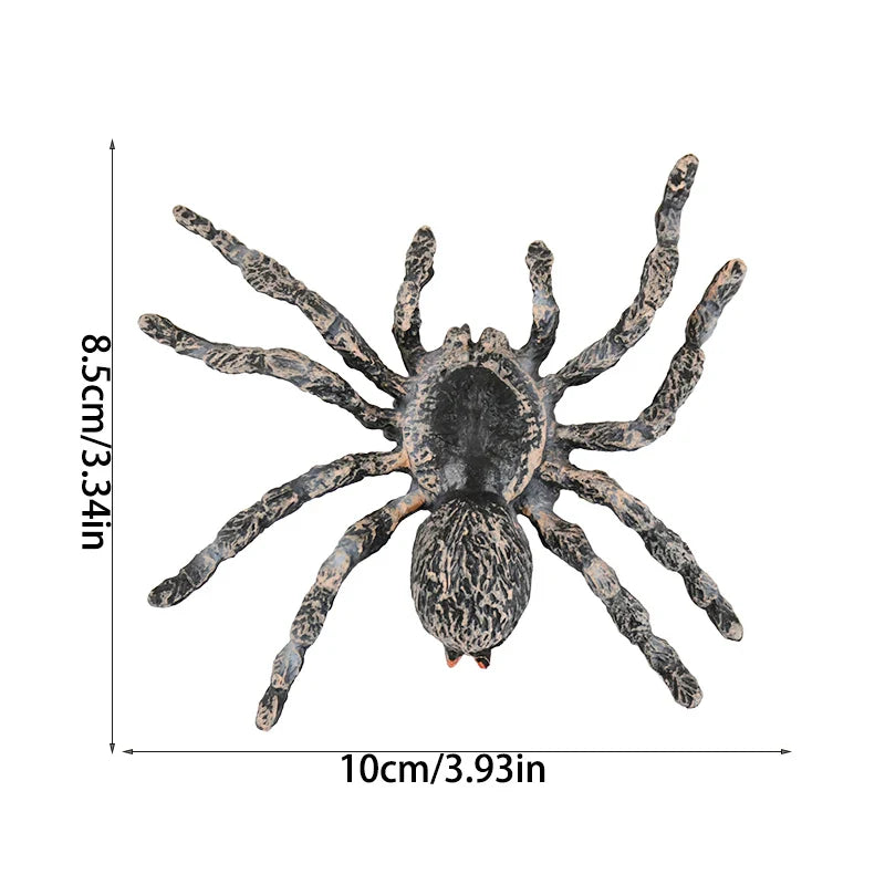 JazzHer Plastic Fake Spider Simulated Insect Model Prank Joke Toys Halloween Party Home Decoration Horror Props Kids Trick or Treat Gift