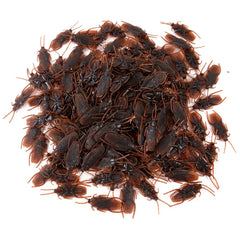 JazzHer 10-100Pcs Artificial Cockroach Realistic Fake Roach Insects Novelty Trick Props Kids Toy Halloween Party Decoration Plastic Bugs