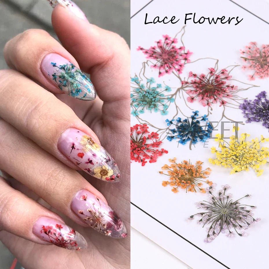 JazzHer 3D Real Dried Flowers Nail Art Decoration Lace Petal Design Natural Pressed Floral Charm Plant Jewelry Nail Accessories Supplies