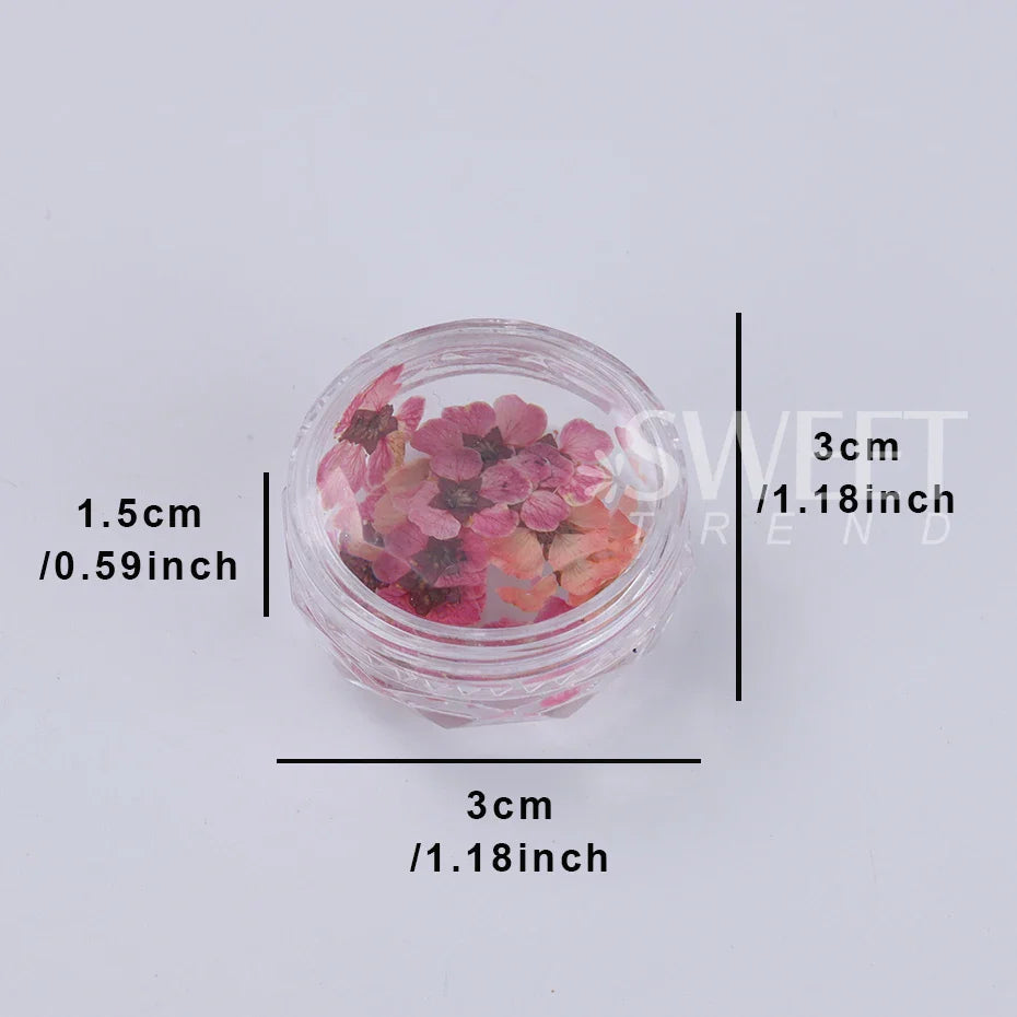 JazzHer 3D Dried Flowers Nail Art Decorations Dead Nature Nail Dry Flowers Manicure Floral Bloom Nail Art Beauty For Charms Accessories