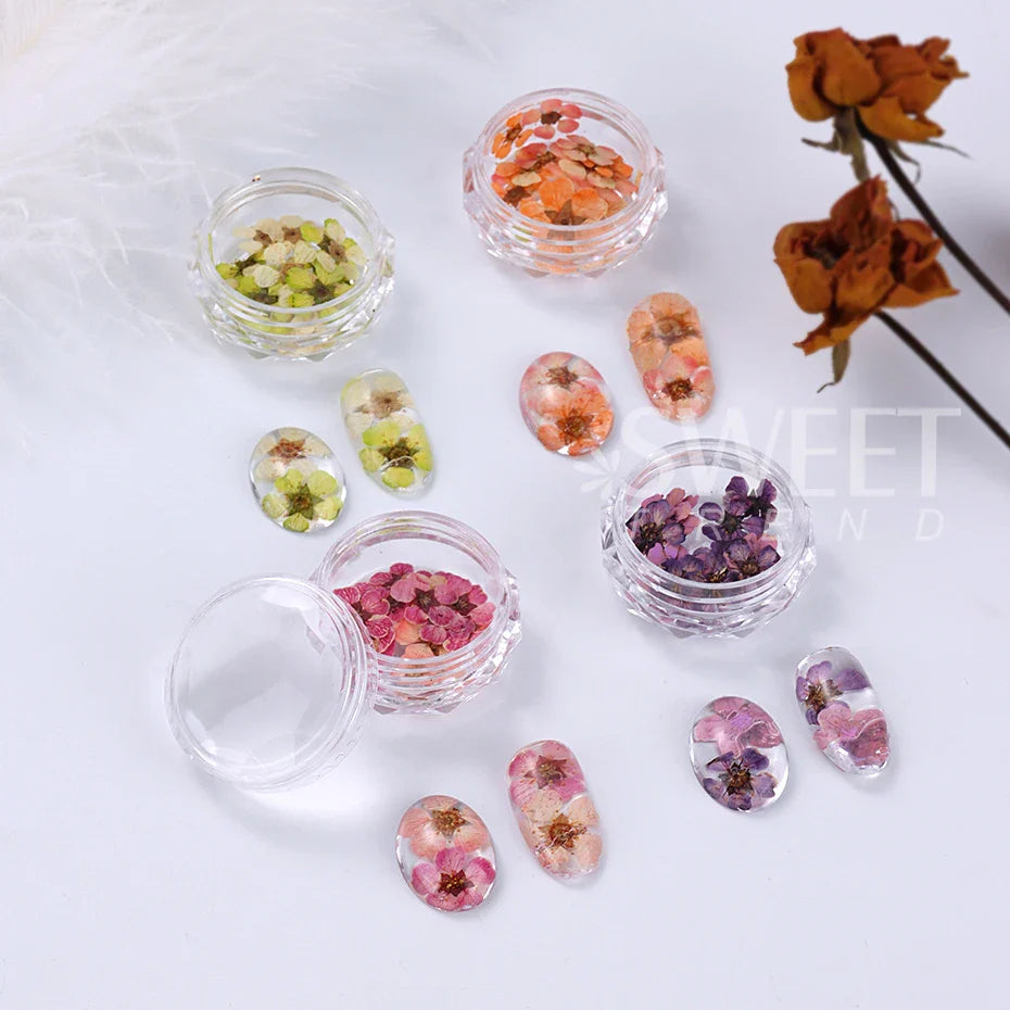 JazzHer 3D Dried Flowers Nail Art Decorations Dead Nature Nail Dry Flowers Manicure Floral Bloom Nail Art Beauty For Charms Accessories